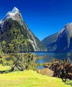 Milford Sound Paint By Number