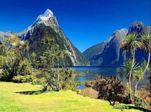 Milford Sound Paint By Number