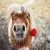 Mini Horse With a Rose Paint By Number