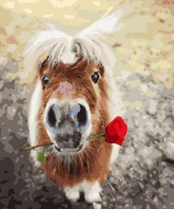 Mini Horse With a Rose Paint By Number