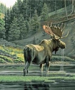 Moose By The River Paint By Number