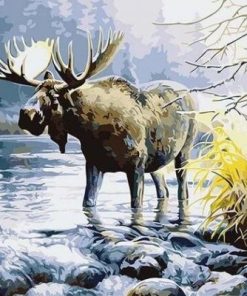 Moose In The River Paint By Number