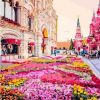 Moscow Flowers Paint By Number