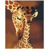 Mother Giraffe Paint By Number