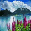 Mountains With Flowers Paint By Number