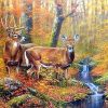 Mule Deers Paint By Number