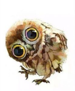 Night Owl Bird Paint By Number