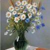 Oxeye Daisy Flowers Paint By Number