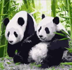 Panda Couple Paint By Number