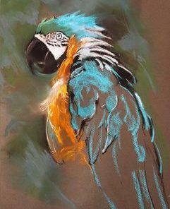 Parrot Art Paint By Number