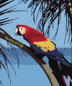 Parrot Bird Paint By Number