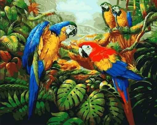 Parrot Birds Paint By Number