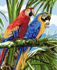 Parrots Birds Paint By Number