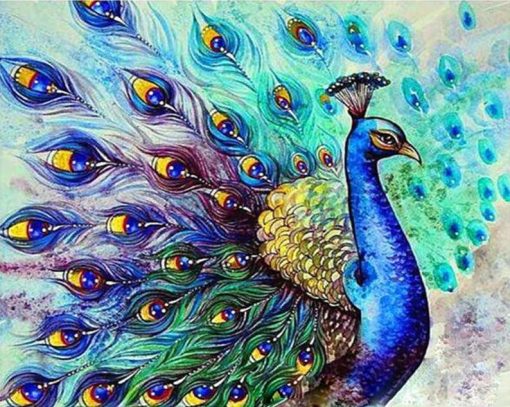 Peacock Bird Paint By Number