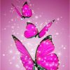 Pink Butterfly Animals Paint By Numbers