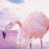 Pink Flamingo Bird Paint By Number