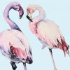 Pink Flamingos Paint By Number