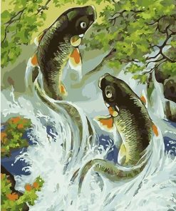 Ponds Koi Fish Paint By Number