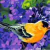 Pretty Songbirds Paint By Number