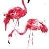 Red Flamingos Paint By Number