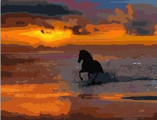 Running Horse On The Beach Paint By Number