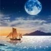 Sailing Ship and The Moon Paint By Number