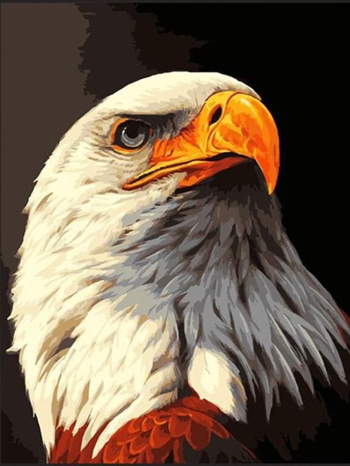 Sharp Eagle Paint By Number