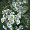 Shasta Daisy Flowers Paint By Number