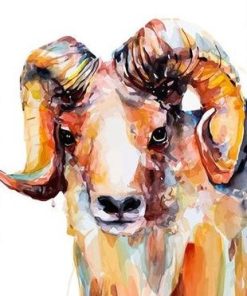 Sheep With Horns Paint By Number