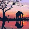 Silhouette Elephant Paint By Number