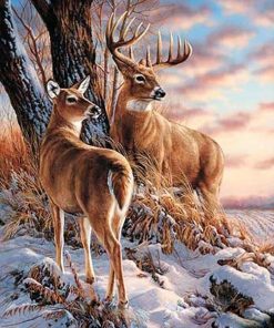 Snow Deers Paint By Number