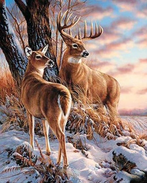 Snow Deers Paint By Number