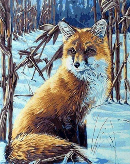 Snow Fox Paint By Number