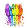 Splatter Parrot Birds Paint By Number