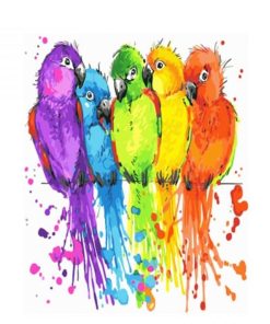 Splatter Parrot Birds Paint By Number