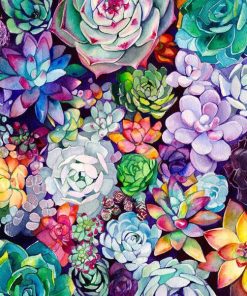 Succulent Flowers Paint By Number