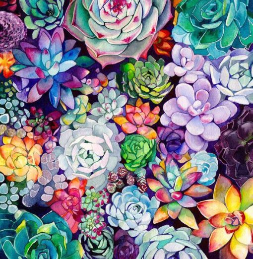 Succulent Flowers Paint By Number