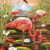 Swamp Flamingos Paint By Number