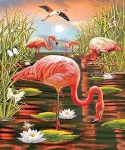 Swamp Flamingos Paint By Number