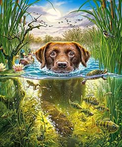 Swimming Dog Paint By Number