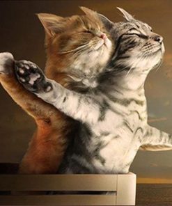 Titanic Cats Paint By Number