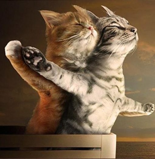 Titanic Cats Paint By Number