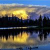 Trees Reflection On The Lake Paint By Number