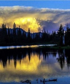 Trees Reflection On The Lake Paint By Number