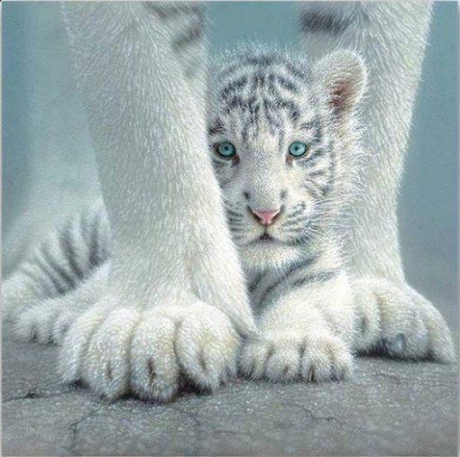 White Tiger Paint By Number