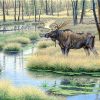 Wild Moose Paint By Number