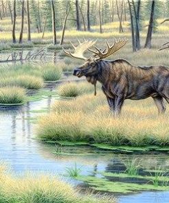 Wild Moose Paint By Number