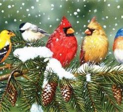 Winter Birds Paint By Number