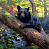 Black Bear Paint By Number