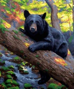 Black Bear Paint By Number